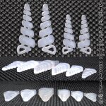 SH Silicone Seashell Spiral left