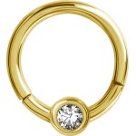 24K Gold PVD Steel 1.2x08 mm Flat Disc Hinged Segment...