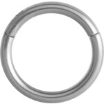 Hinged Titanium Ring (Clicker) - handpolished