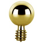 Gold PVD 1.6x12x5mm Internal Circular Titanium Barbell w Balls, (individual parts)