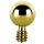 Gold PVD Internal Circular Titan Barbell 1.2mm w Balls, (individual parts)
