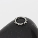 Titan 1.2 mm Hinged Segment Ring - handpolished - (as long as stocked)