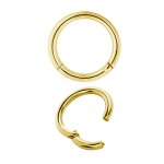 Hinged Gold Titanium Ring (Segment Optics) - handpolished