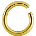 Hinged Gold Titanium Ring (Segment Optics) - handpolished