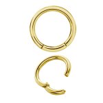 Hinged Gold Titan Ring (Segment Optik) - handpoliert
