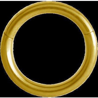 Hinged Gold Titanium Ring 0.8x07mm (Segment Optics) - handpolished