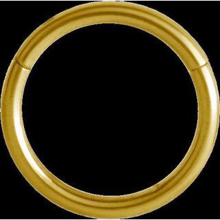 Hinged Gold Titan Ring 0.8x09mm (Segment Optik) - handpoliert