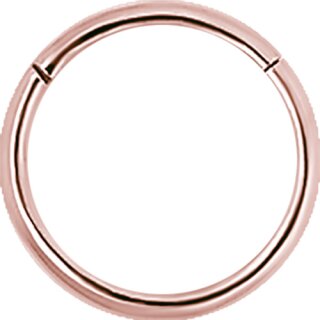 Hinged Rosegold Titanium Ring (Segment Optics) - handpolished - (as long as stocked)