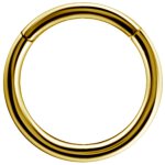 Hinged Ring 18K Gold Clicker (Segment Optik) 0.8 / 1.0 /...