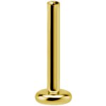 Push Pin Gold Titan gewindeloses Labret 1.2mm mit 4mm Platte