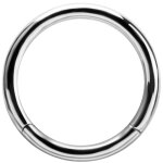 Nickelfrei Hinged Ring (Segment Optik) - handpoliert