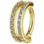 Nickelfrei Gold PVD CoCr Rook Hinged Oval Ring #R2 - 1.2...