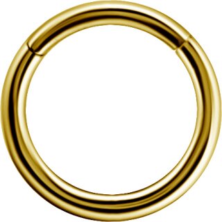 Hinged Ring 18K Gold 1.2x07 mm Clicker (Segment Optik)