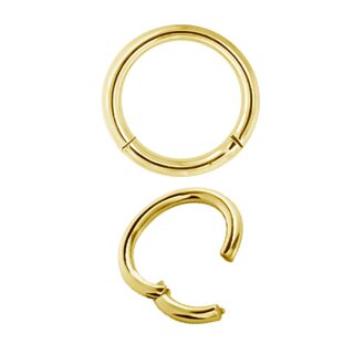 24K Gold PVD Steel Hinged Ring Clicker (Segment Optics)