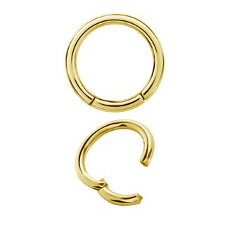 24K Gold PVD Steel Hinged Ring Clicker (Segment Optics)