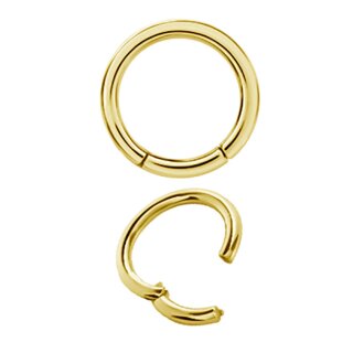 24K Gold PVD Steel Hinged Ring Clicker (Segment Optics)
