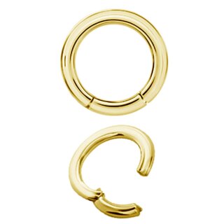 24K Gold PVD Steel Hinged Ring Clicker (Segment Optics)