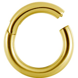 24K Gold PVD Steel Hinged Ring Clicker (Segment Optics)