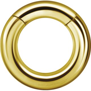 24K Gold PVD Steel Hinged Ring Clicker (Segment Optics)