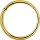 24K Gold PVD Steel Hinged Ring Clicker (Segment Optics)