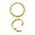 24K Gold PVD Steel Hinged Ring Clicker (Segment Optics)