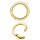 24K Gold PVD Steel Hinged Ring Clicker (Segment Optics)