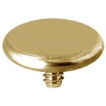 24K Gold PVD Internal Titanium Disc 1.2 mm for 1.6 mm...